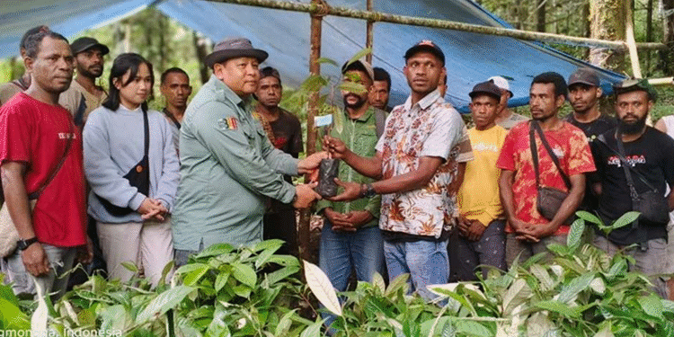 BNI dan Disbun Fakfak Realisasikan Program Pala Unggul