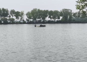 Udang dan Kepiting Pilihan Usaha Produk Laut Berkualitas