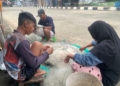 Cerita Nelayan Senior Sedari Jalani Profesi Musiman di Tengah Tantangan Biaya Solar