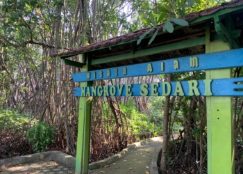 Ekonomi Pesisir Sedari: Antara Wisata, Alam, dan Penghidupan Nelayan