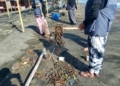 Kegiatan Sabtu Bersih di Pantai Desa Sedari Karawang: Kesadaran Lingkungan
