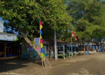 Sensasi Menyantap Makanan Laut Segar di Pantai Sedari