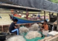Nelayan Tradisional Sedari Andalkan Kapal Kecil dan Tangkapan Udang-Musiman