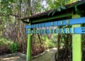 Ekowisata Mangrove Sedari Jadi Andalan Baru Ekonomi Warga Pesisir Karawang