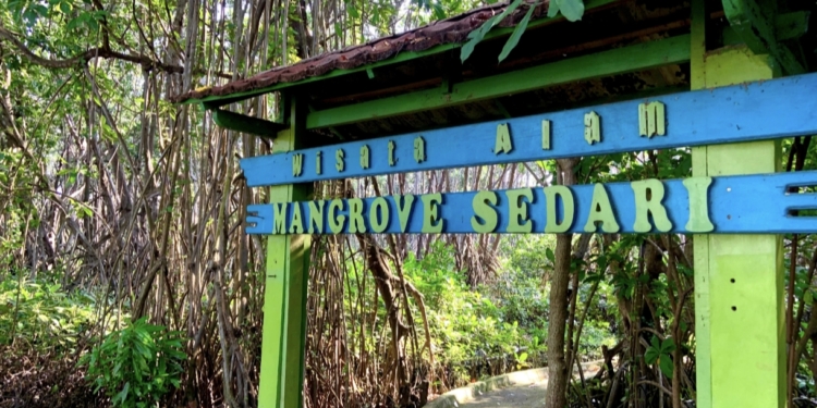 Ekowisata Mangrove Sedari Jadi Andalan Baru Ekonomi Warga Pesisir Karawang