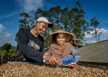 Konsisten Berdayakan UMKM Antar BRI Raih Penghargaan Pilar Sosial Katadata ESG Index Awards 2025