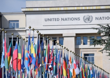 PBB Sebut Israel Lakukan Genosida di Gaza, Apa Dampaknya bagi Dunia dan Palestina?