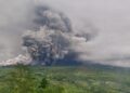 Gunung Semeru Meletus Dahsyat, Warga Lumajang Mengungsi ke Balai Desa