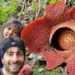 Dua Bunga Rafflesia Raksasa Mekar Bareng di Rejang Lebong