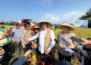 BULOG Lancar Serapan Gabah NTB, Target 4 Juta Ton Beras 2026