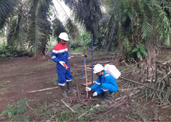 Elnusa Pacu Eksplorasi Migas di Timur Indonesia dengan Teknologi Seismik