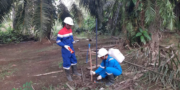 Elnusa Pacu Eksplorasi Migas di Timur Indonesia dengan Teknologi Seismik