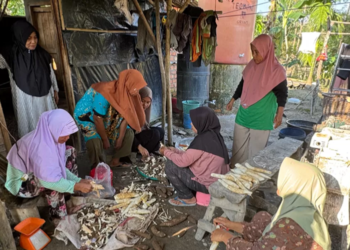 PHE Jambi Merang Ubah Singkong Jadi Tepung Mocaf, Ekonomi Warga Simpang Bayat Melesat