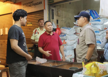 Jelang Lebaran 2026, BULOG Sidak Pasar Nasional Pastikan Stok Beras 3,5 Juta Ton Aman