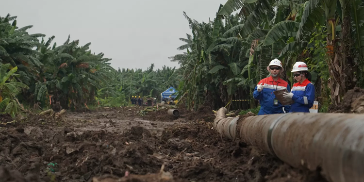19 Tahun Pertagas: Mengalirkan Energi, Memperkuat Pondasi Hilirisasi Industri Nasional