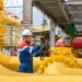 Napas Baru di Muara Karang: PGN Poles Infrastruktur Energi Jakarta