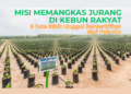 Misi Memangkas Jurang di Kebun Rakyat, PalmCo Bagikan 6 Juta Bibit Unggul Bersertifikat