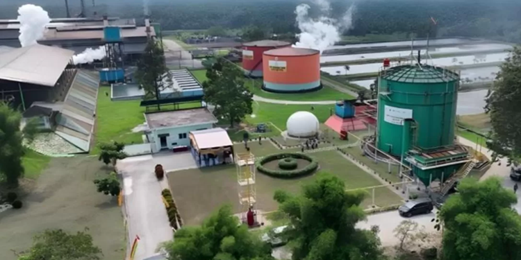 Ekonomi Hijau: PTPN IV PalmCo Bangun 16 Pabrik CBG, Target Serap 1.600 Tenaga Kerja Baru