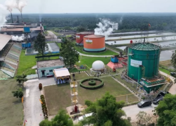 Aset BUMN Perkebunan Sawit Kian Solid, ROA PalmCo Melonjak ke 7,9 Persen