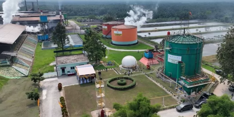 Aset BUMN Perkebunan Sawit Kian Solid, ROA PalmCo Melonjak ke 7,9 Persen