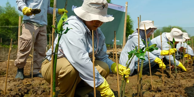 Cegah Abrasi Pesisir Semarang, Telkom Terjunkan Relawan Karyawan Tanam Mangrove