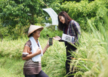 BRI Salurkan KUR Rp178 Triliun, Dorong Ekonomi Rakyat Lewat Sektor Produksi