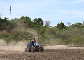 Siasat Hijau di Tanah Minyak: Ikhtiar Pertamina Hulu Rokan Memulihkan Wajah Riau