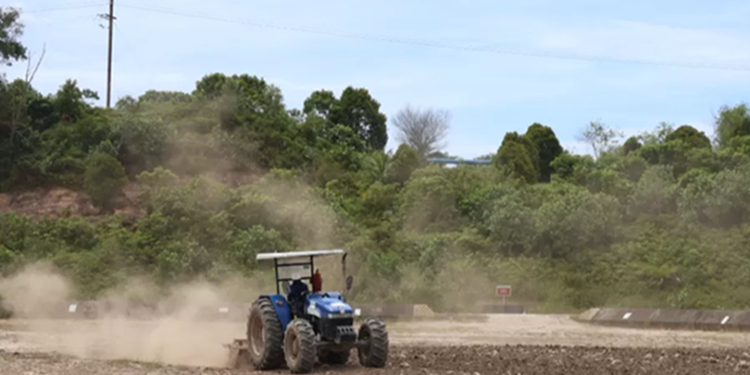 Siasat Hijau di Tanah Minyak: Ikhtiar Pertamina Hulu Rokan Memulihkan Wajah Riau