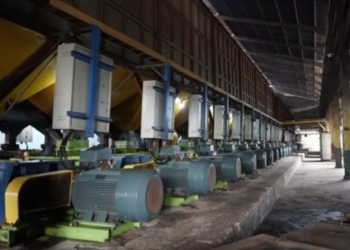 Produksi PKO PTPN IV Regional III Tembus 115 Ribu Ton, Digitalisasi Perkuat Tata Kelola