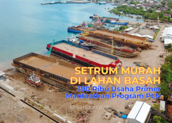 Setrum Murah di Lahan Basah, 390 Ribu Usaha Primer Manfaatkan Program PLN