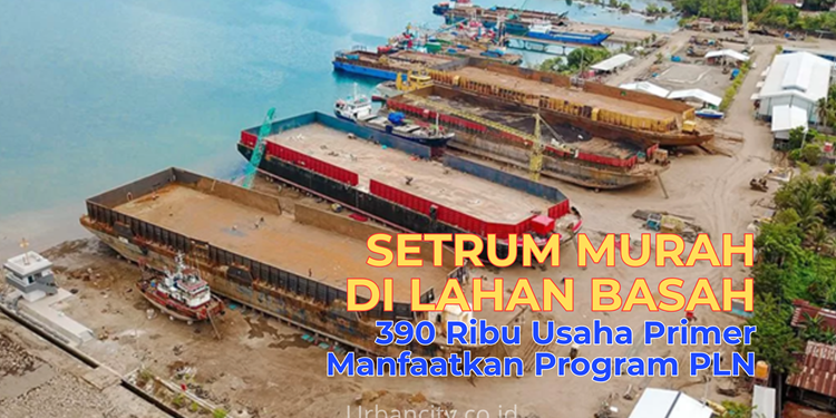 Setrum Murah di Lahan Basah, 390 Ribu Usaha Primer Manfaatkan Program PLN