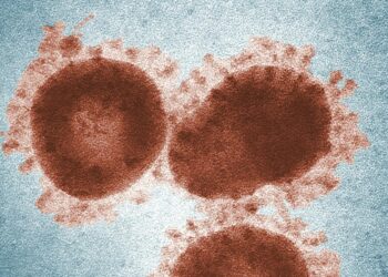 Virus Nipah Ditemukan di Hewan Indonesia, Ungkap Peneliti BRIN