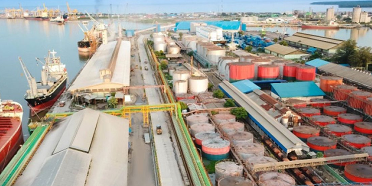 Kemendag: Harga Referensi CPO Maret 2026 Naik ke USD 938,87, Harga Biji Kakao Anjlok 29 Persen