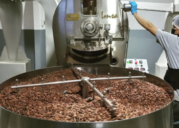 Indonesia Perkuat Posisi Pusat Grinding Kakao Global, Ekspor Tembus US$ 3,4 Miliar