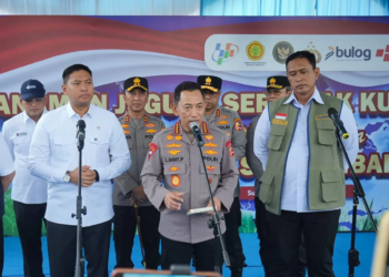Bulog Kawal Tanam Jagung Nasional di Sumsel: Dirut Rizal Ramdhani Bidik Swasembada Pangan 2026