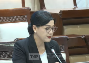 Tok! DPR Sepakati Frederica Widyasari Dewi Jadi Ketua Dewan Komisioner OJK