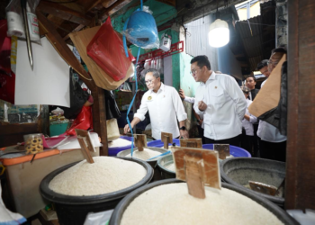 Stok Melimpah: Mendag Budi Santoso Sebut Harga Bahan Pokok Pasca-Lebaran Terkendali