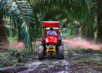 PTPN IV Kebun Air Molek 2 Siap Replanting 862 Hektare Sawit demi Capai Target 7 Ton CPO