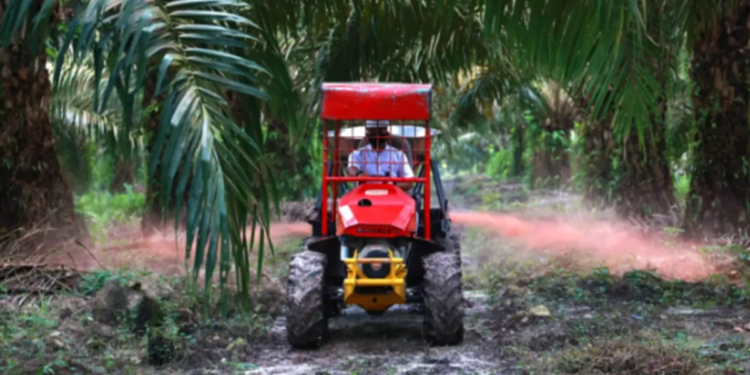 PTPN IV Kebun Air Molek 2 Siap Replanting 862 Hektare Sawit demi Capai Target 7 Ton CPO