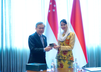 Pemerintah Indonesia