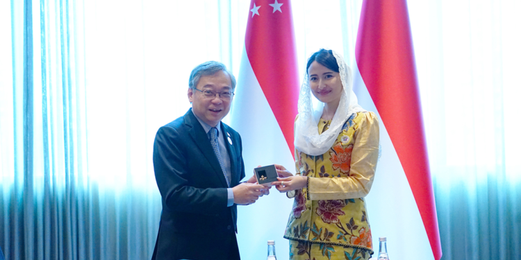 Pemerintah Indonesia