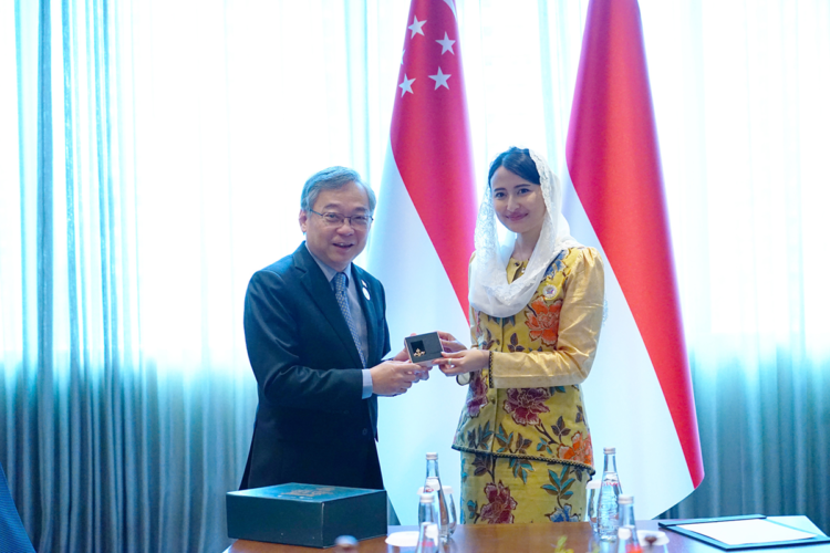 Pemerintah Indonesia