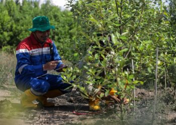 Dukung Net Zero Emission, Pertamina Patra Niaga Tanam 22 Ribu Pohon di Sekitar Kilang