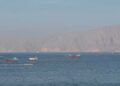 Iran Bakal Bebaskan Tarif Selat Hormuz bagi Negara Sahabat, Rusia Masuk Daftar