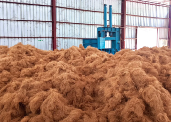 Ekspor Perdana Sabut Kelapa Minahasa Selatan ke China, Momentum Hilirisasi UMKM