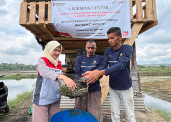 Strategi Pertamina Ubah Desa Rentan Jadi Tangguh Melalui Transisi Energi Terbarukan