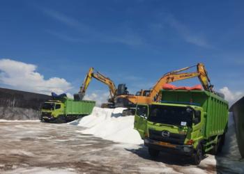 Garam Australia 15 Ribu Ton Serbu Cirebon, PTP Nonpetikemas Genjot Bongkar Muat