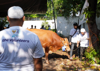 Idul Adha 2026: BNI Distribusikan 1.200 Hewan Kurban ke Berbagai Wilayah Indonesia