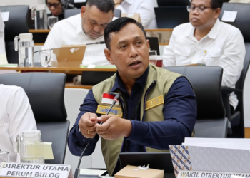 Stok Rekor 5,3 Juta Ton, BULOG Usul Gaji ASN hingga TNI-Polri Dibayar Beras