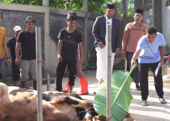 Idul Adha 1447 H: Perum BULOG Gaungkan Makna Kurban untuk Ketahanan Pangan Umat